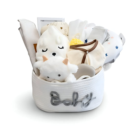 THE EXECUTIVE BABY DREAM BASKET–  סל החלומות היוקרתית