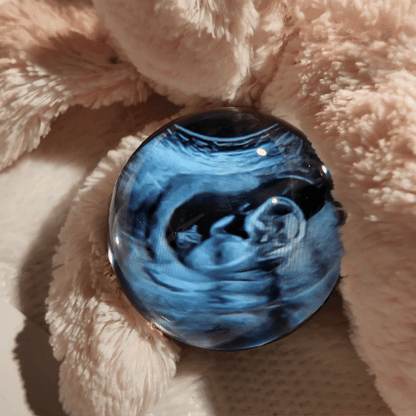 MemoNova מימונובה Dream Gifts